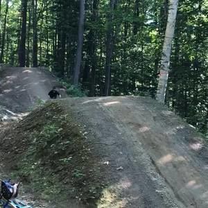 Meet your Posher, Trevor